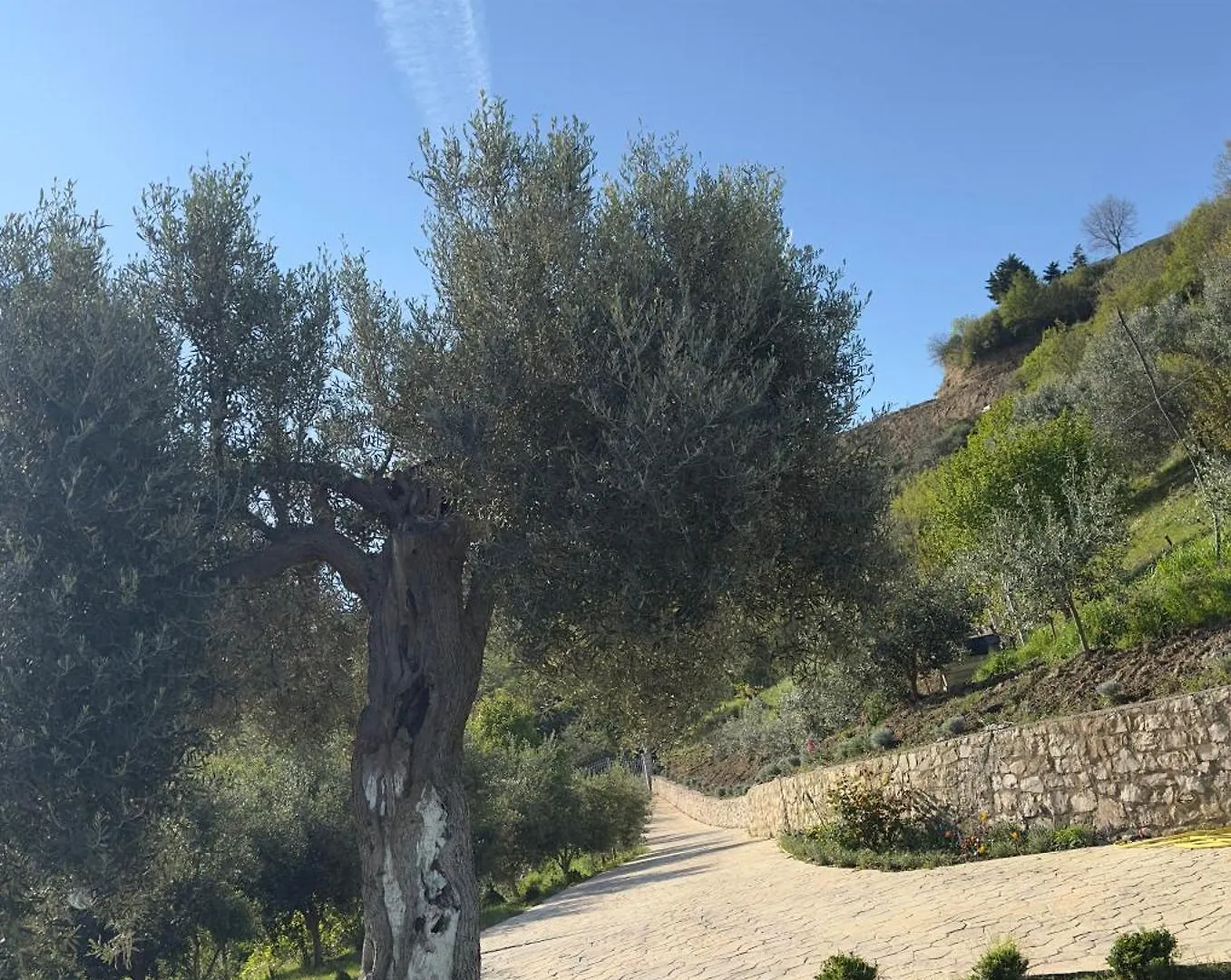 Avi Villas Rodon Shetaj